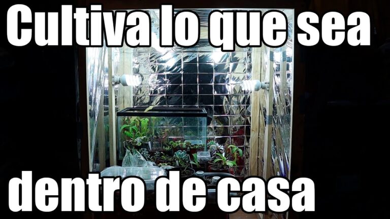 Como hacer armario de cultivo casero