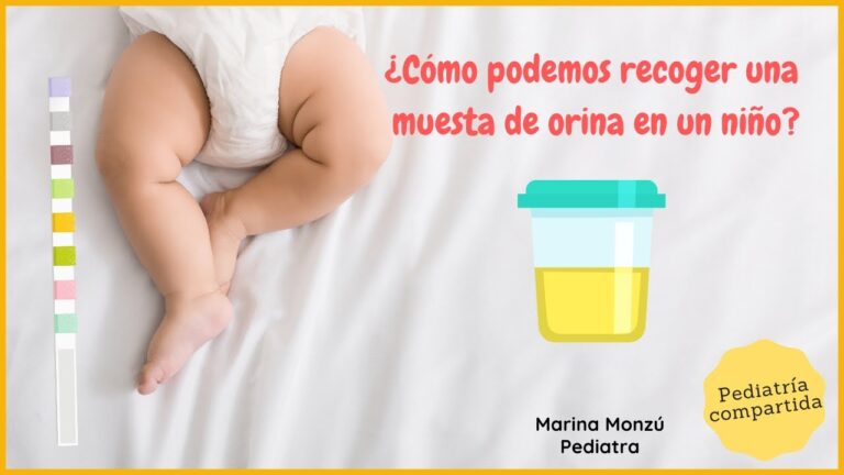 Como hacer analisis de orina a un bebe