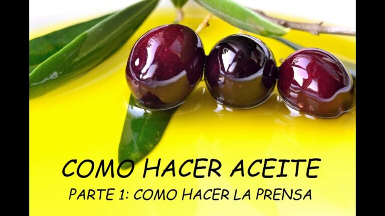 Como hacer una prensa de aceite casera