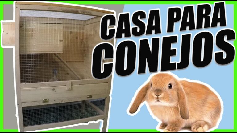 Construye una jaula para conejos con palets en seis simples pasos