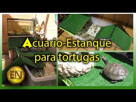 Como hacer un acuaterrario para tortugas casero