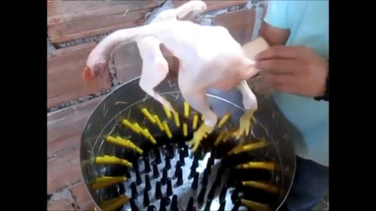 Como hacer dedos de goma para pelar pollos