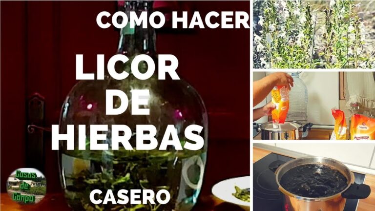 Descubre el secreto: cómo destilar licor de hierbas en un alambique en casa