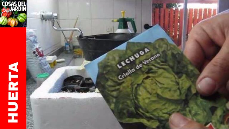 &iexcl;Descubre c&oacute;mo cultivar tu propia semilla en casa!