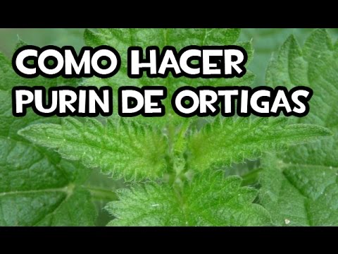 Descubre el secreto detrás del purín de ortigas en solo 3 pasos