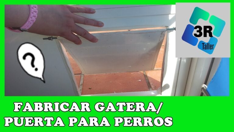 Crea una puerta para tu perro en casa ¡fácil y económica!