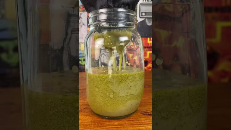Aprende a elaborar tu propio aceite de oliva en casa de forma fácil