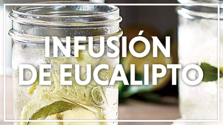 Aprende a preparar una infusión de eucalipto en casa fácilmente