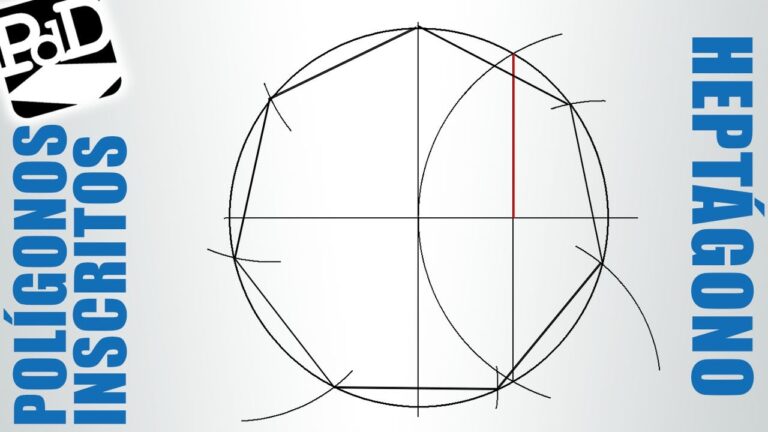¡Crea un heptágono perfecto en segundos! Aprende cómo hacerlo en una circunferencia