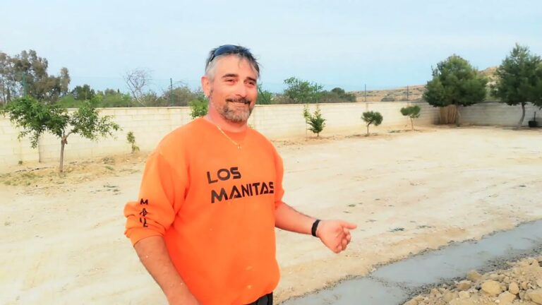 Cómo hacer una casa de campo por menos: Ideas económicas para construir tu refugio rural.