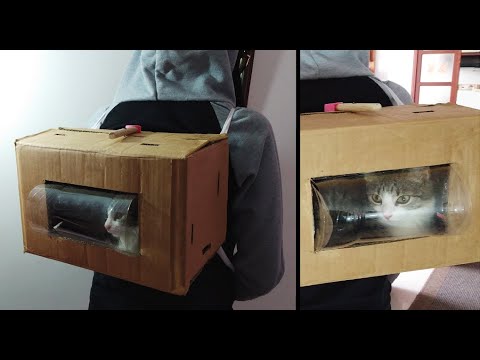 Ahorra Dinero: Crea un Transportín Casero para Gatos en Casa