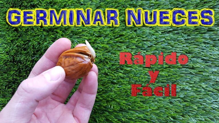 Produzca mejores frutos: consejos y trucos en 70 caracteres
