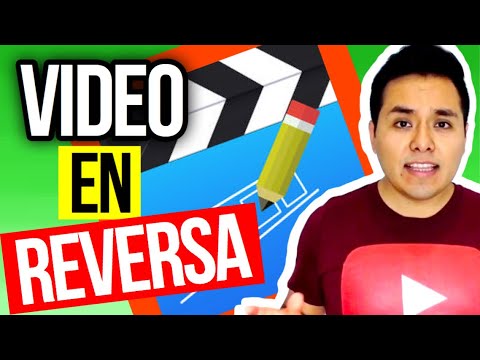Descubre cómo ‘hacer rewind’ en Instagram en tan solo unos segundos