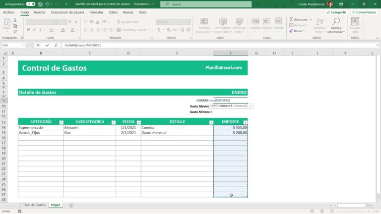 Organiza tus finanzas con un Excel de gastos mensuales en 5 pasos