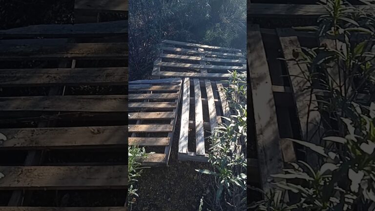 Descubre cómo hacer un majano casero para tus conejos en solo 4 pasos