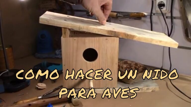 Aprende a crear un nido casero para gorriones en casa