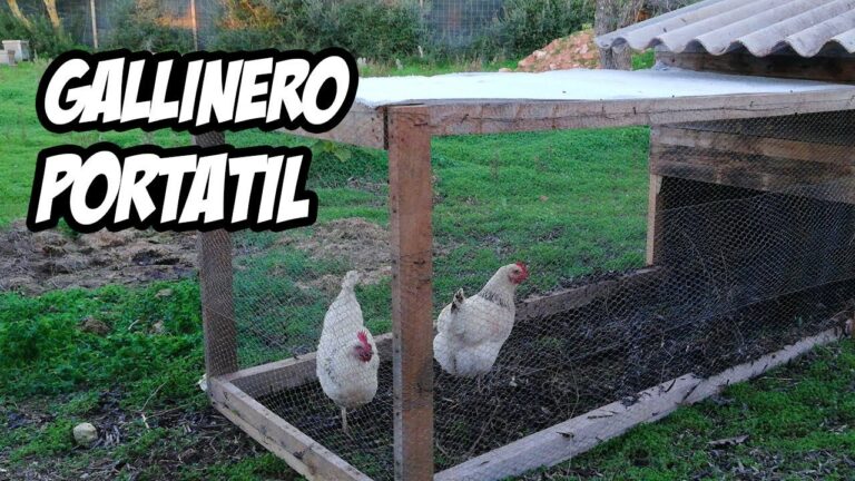 Aprende a construir gallineros simples en pocos pasos