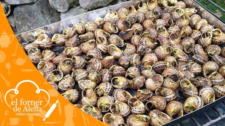 Descubre cómo limpiar caracoles para cocinarlos a la llauna en casa