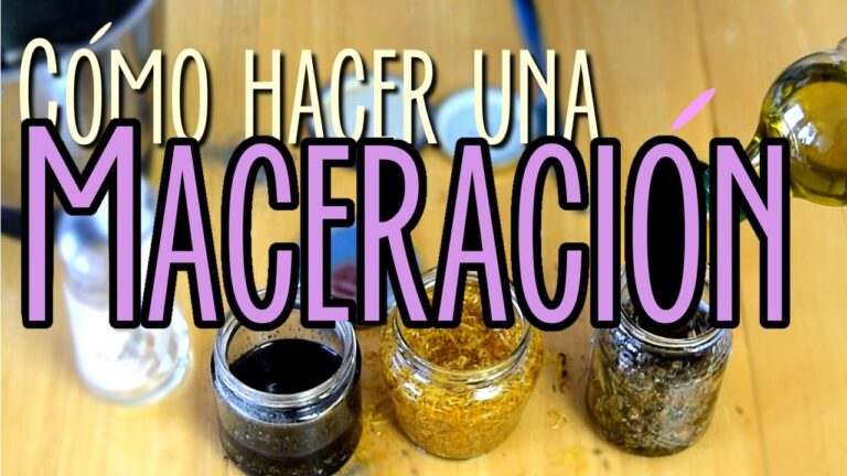 Descubre c&oacute;mo hacer maceraci&oacute;n de plantas medicinales de forma sencilla.