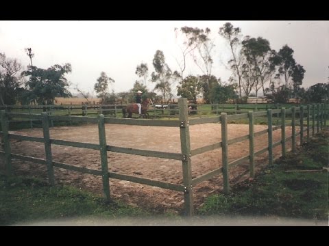Construya corrales para su ganado: guía práctica de cómo hacerlos