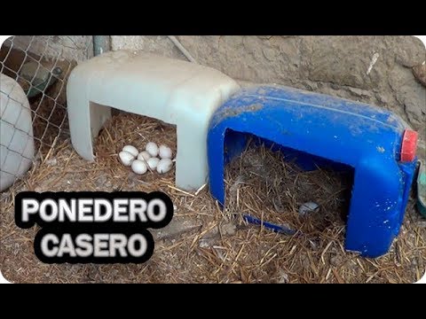Aprende a crear un ponedero de gallinas en casa en simples pasos