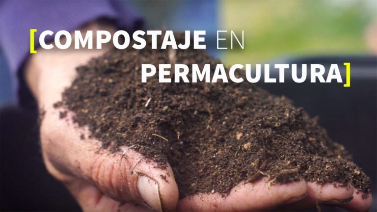 Compostaje en apartamento: tips para hacer tu propio abono