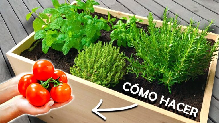 Descubre c&oacute;mo hacer un huerto en tu piso: &iexcl;verduras frescas en casa!
