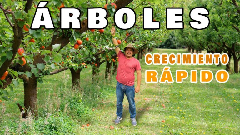 Detén el crecimiento de tu árbol: Aprende cómo hacer que no siga creciendo