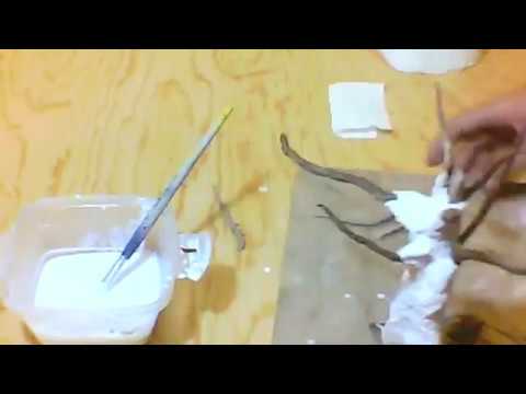 Crear un impresionante &aacute;rbol de papel mach&eacute; de gran tama&ntilde;o &iexcl;t&uacute; tambi&eacute;n puedes hacerlo!