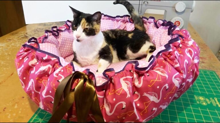 ¿Quieres mimar a tu felino? Aprende a hacerle una cama acogedora ¡y consiéntelo! #camaagato #diycatbed
