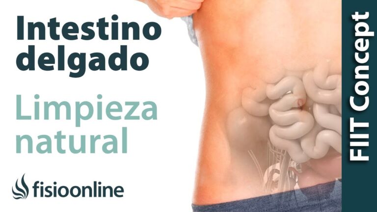 Acelera tu digestión: aprende cómo hacer que tu intestino trabaje más rápido
