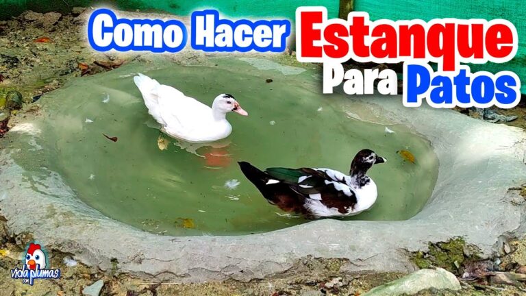 Cómo construir una patera casera en tan solo 7 pasos