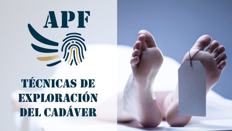 Descubre cómo realizar una autopsia detallada en 7 pasos