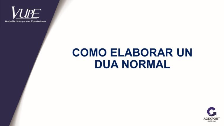 Descubre los secretos para hacer un DUA de exportación con éxito