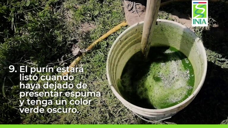 Aprende cómo hacer fácilmente un purín de ortiga en casa, paso a paso