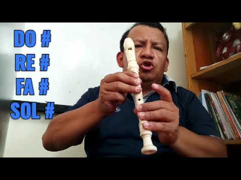 Aprende a dominar el do sostenido en flauta dulce con estos sencillos consejos