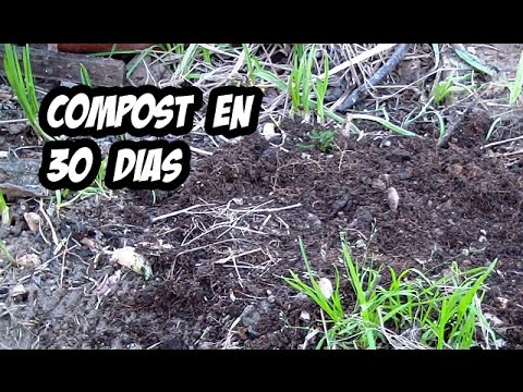 5 trucos para hacer compost casero r&aacute;pido: &iexcl;Ecolog&iacute;a en tu propio hogar!