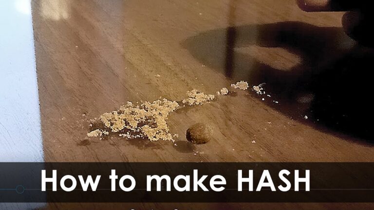 Producci&oacute;n casera de hach&iacute;s: aprende c&oacute;mo hacerlo en 5 pasos