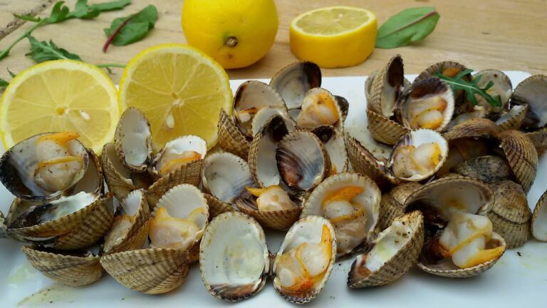 Deliciosos berberechos a la plancha: la mejor manera de disfrutar esta exquisitez