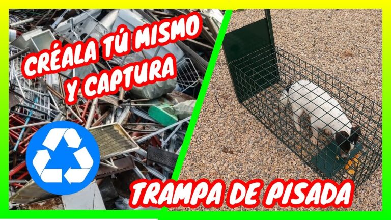 Descubre c&oacute;mo construir una jaula para atrapar conejos en solo 5 pasos