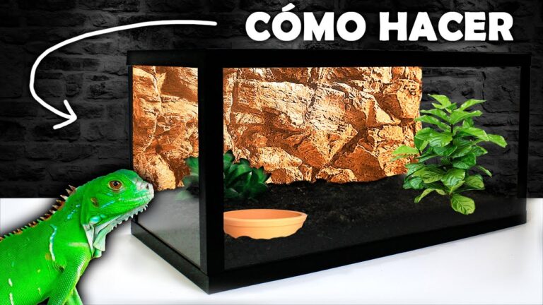 Descubre cómo crear fascinantes terrarios caseros en 5 simples pasos
