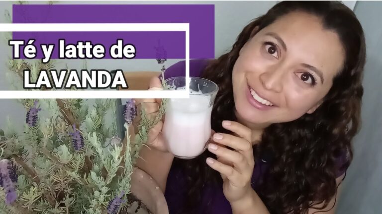 Descubre el secreto: Cómo hacer té de lavanda y disfruta de sus beneficios