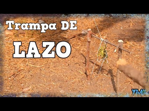 Descubre cómo hacer un lazo para conejos de forma sencilla y creativa