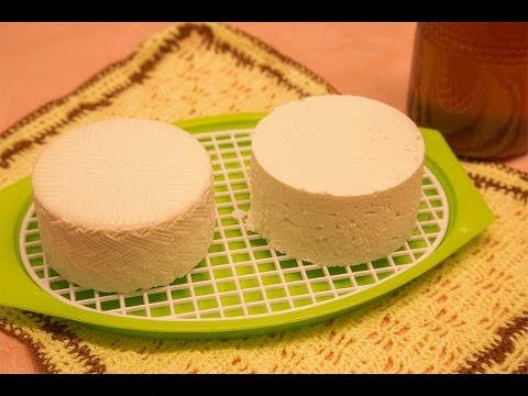 Secretos del queso a&ntilde;ejo: aprende c&oacute;mo hacerlo en casa