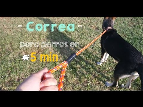 Aprende a hacer tu propia cuerda para perro: trucos infalibles