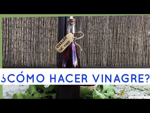 Aprende a hacer vinagre de vino tinto picado: &iexcl;sabores intensos en casa!