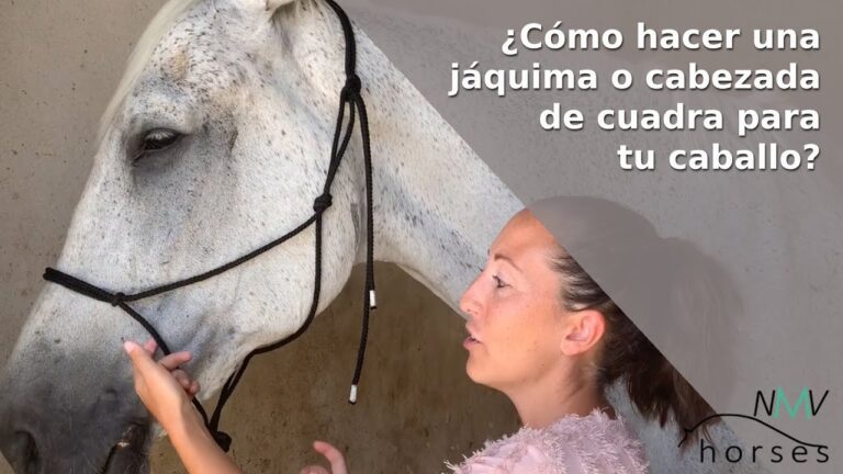Aprende a hacer una cabezada de caballo con cuerda: paso a paso