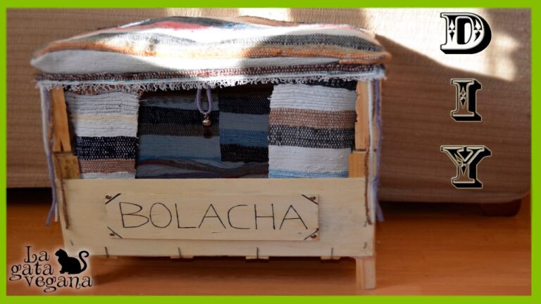&iexcl;Protege a tus mininos del fr&iacute;o invernal con una caseta para gatos exteriores!