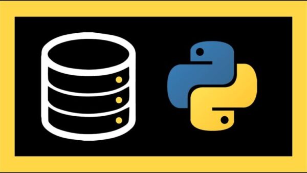 Aprende a crear una base de datos en Python: el secreto para organizar ...