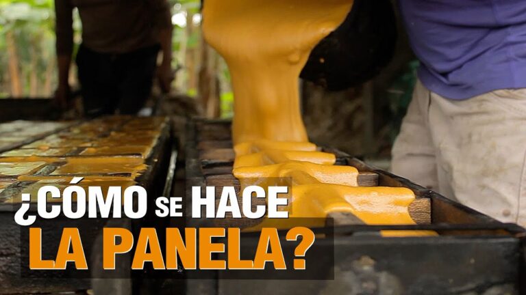 Aprende a elaborar panela en simples pasos: la receta definitiva